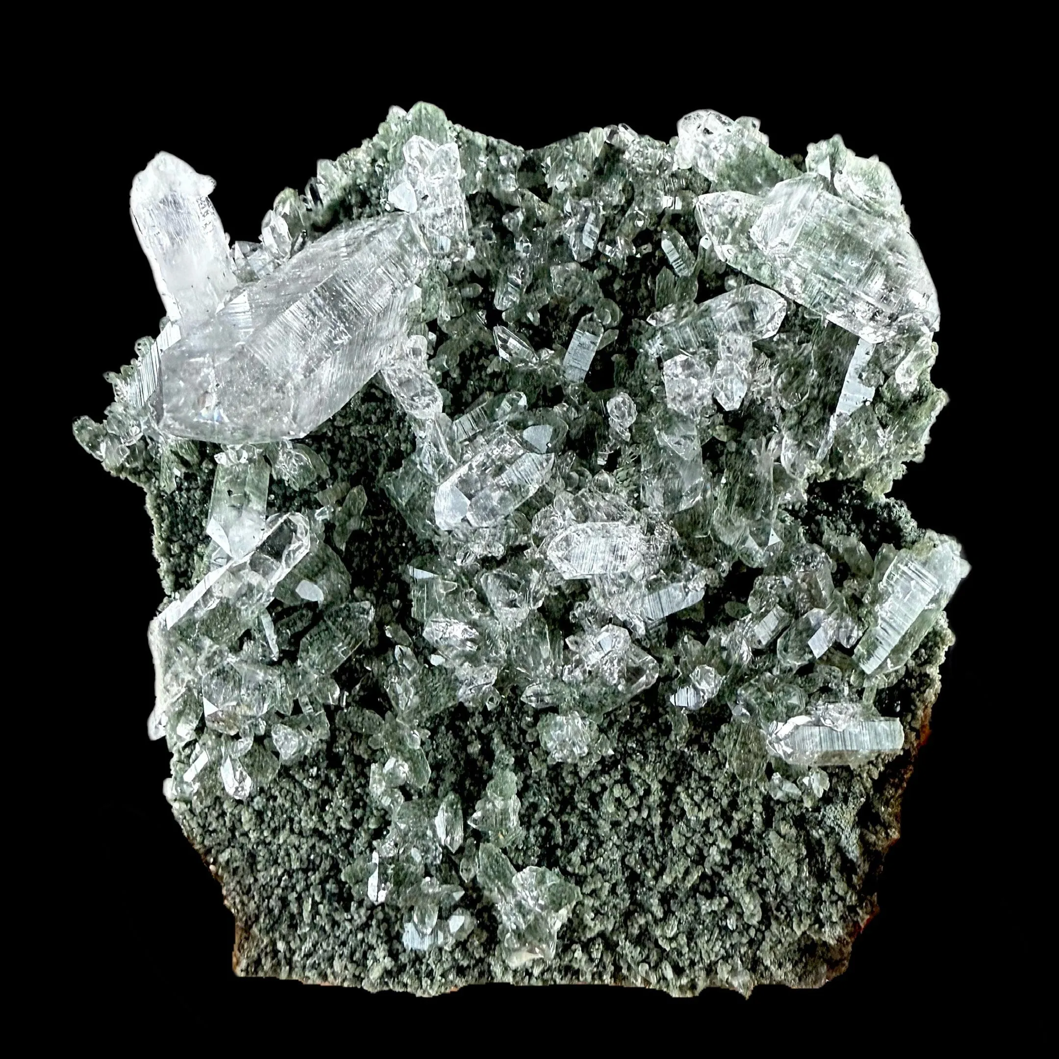 Lemurian Quartz on Sparkly Chlorite | High Quality Mineral | Indian Mineral | Superb Minerals | Collectors Piece | Fine Mineral - image 1