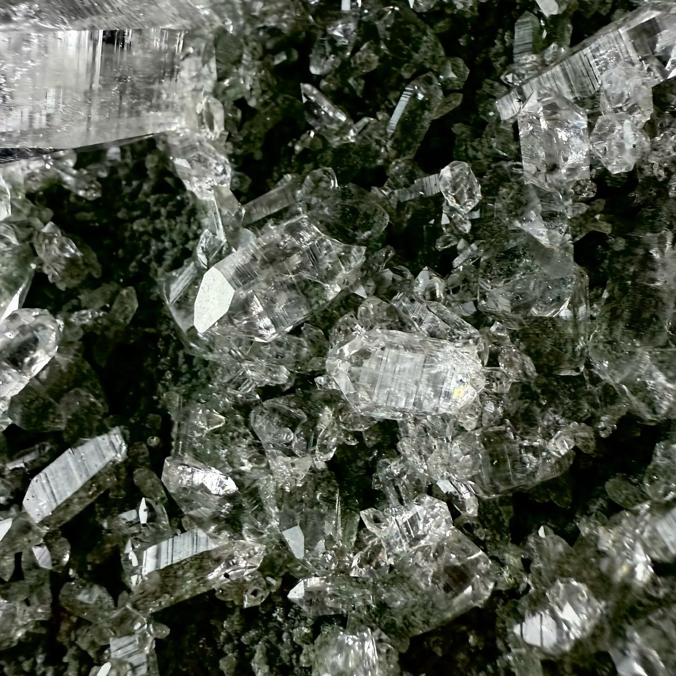 Lemurian Quartz on Sparkly Chlorite | High Quality Mineral | Indian Mineral | Superb Minerals | Collectors Piece | Fine Mineral - image 5