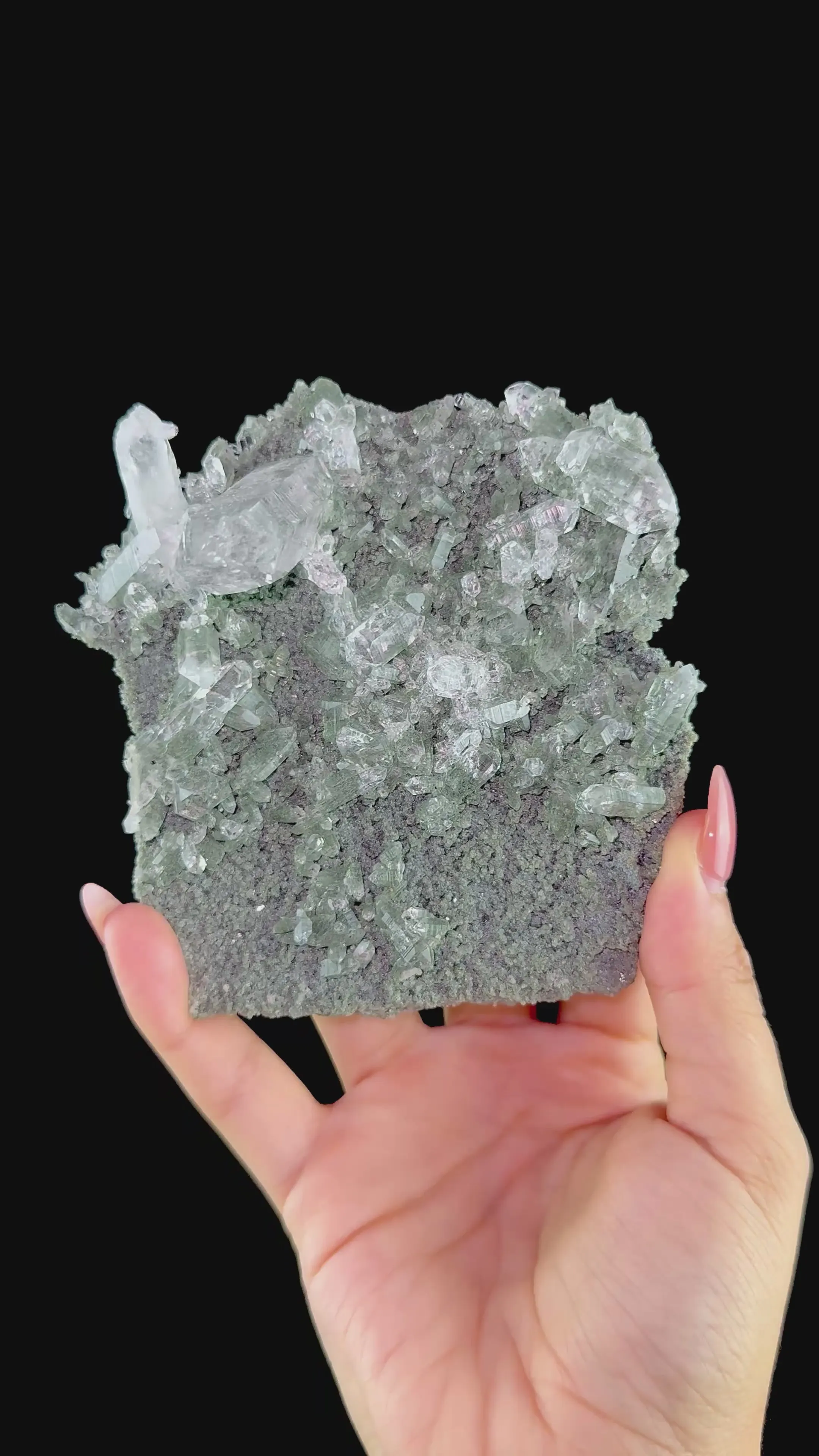 Lemurian Quartz on Sparkly Chlorite | High Quality Mineral | Indian Mineral | Superb Minerals | Collectors Piece | Fine Mineral - image 7