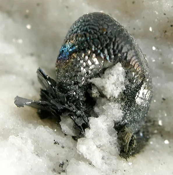 Lengenbachite, Tennantite, Marcasite image