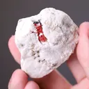 LENGENBACHITE with Realgar phial and hand specimen - image 2