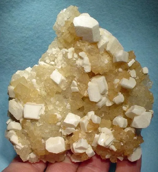 Leonite, Halite - image 1
