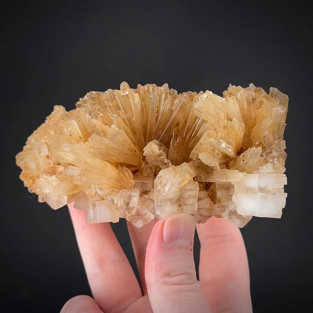 Leonite on Halite image