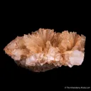 Leonite on Halite - image 3