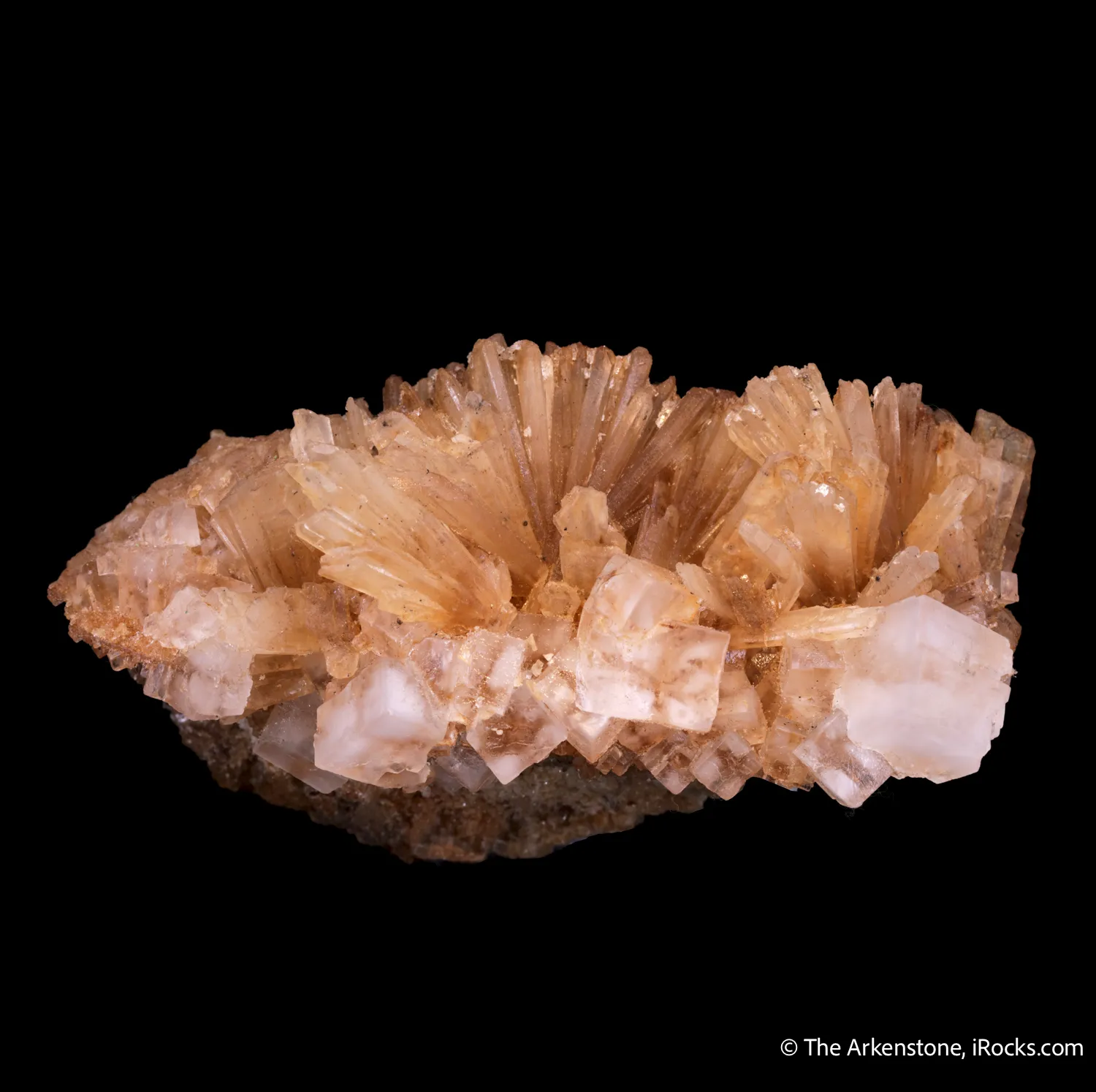 Leonite on Halite - image 3