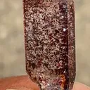 specimen video