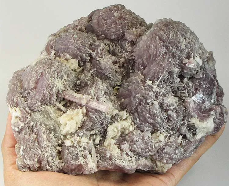 Lepidolite, Albite, Elbaite image
