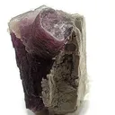Lepidolite and Albite on Feldspar - image 3