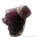 Lepidolite and Albite on Feldspar - image 1