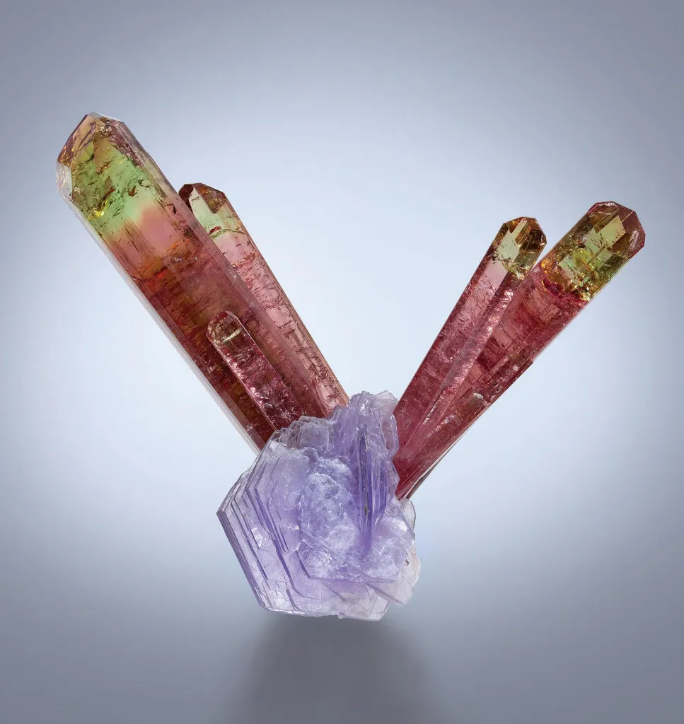 Lepidolite, Elbaite image