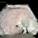 Lepidolite flower on Quartz from Pakistan - image 8