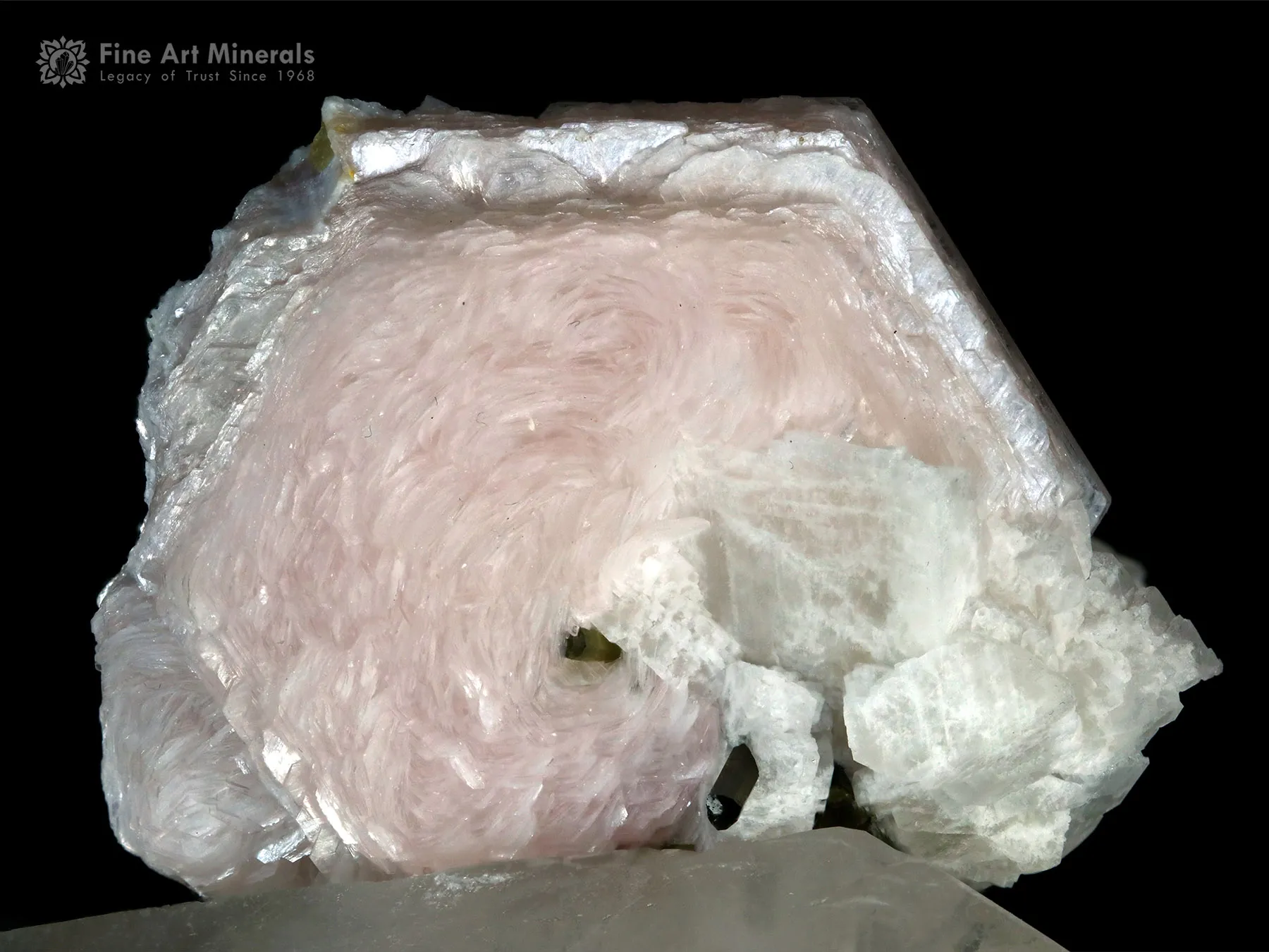 Lepidolite flower on Quartz from Pakistan - image 8