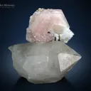 Lepidolite flower on Quartz from Pakistan - image 2