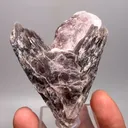 specimen video