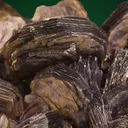 Lepidolite on Albite var. Cleavelandite - image 3