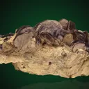 Lepidolite on Albite var. Cleavelandite - image 4