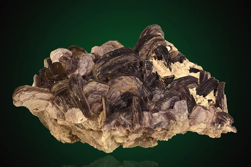 Lepidolite on Albite var. Cleavelandite image