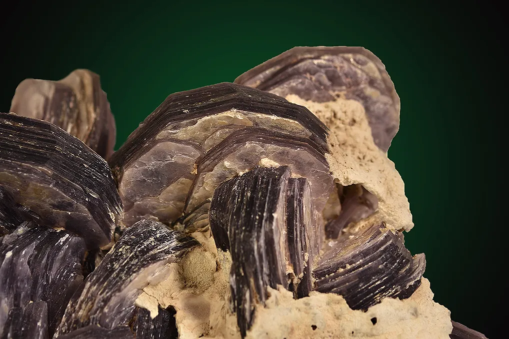 Lepidolite on Albite var. Cleavelandite - image 2