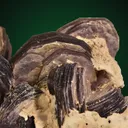 Lepidolite on Albite var. Cleavelandite - image 2