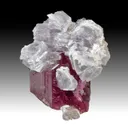 Lepidolite on Elbiate - image 1