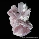Lepidolite on Feldspar - image 3