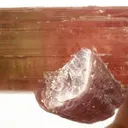 Lepidolite on Tourmaline - image 3