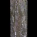 Lepidolite pseudomorphing after Elbaite - image 8