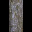 Lepidolite pseudomorphing after Elbaite - image 7