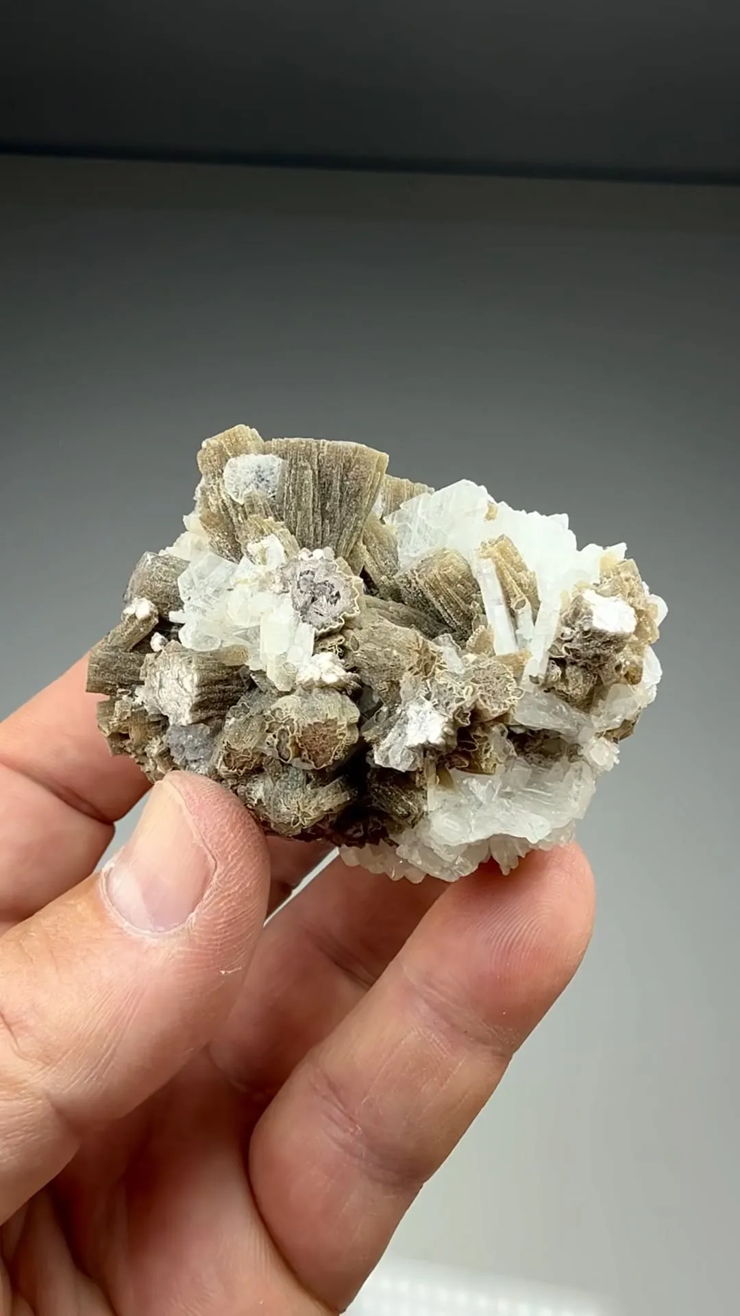 Lepidolite with Albite (1627) - image 2