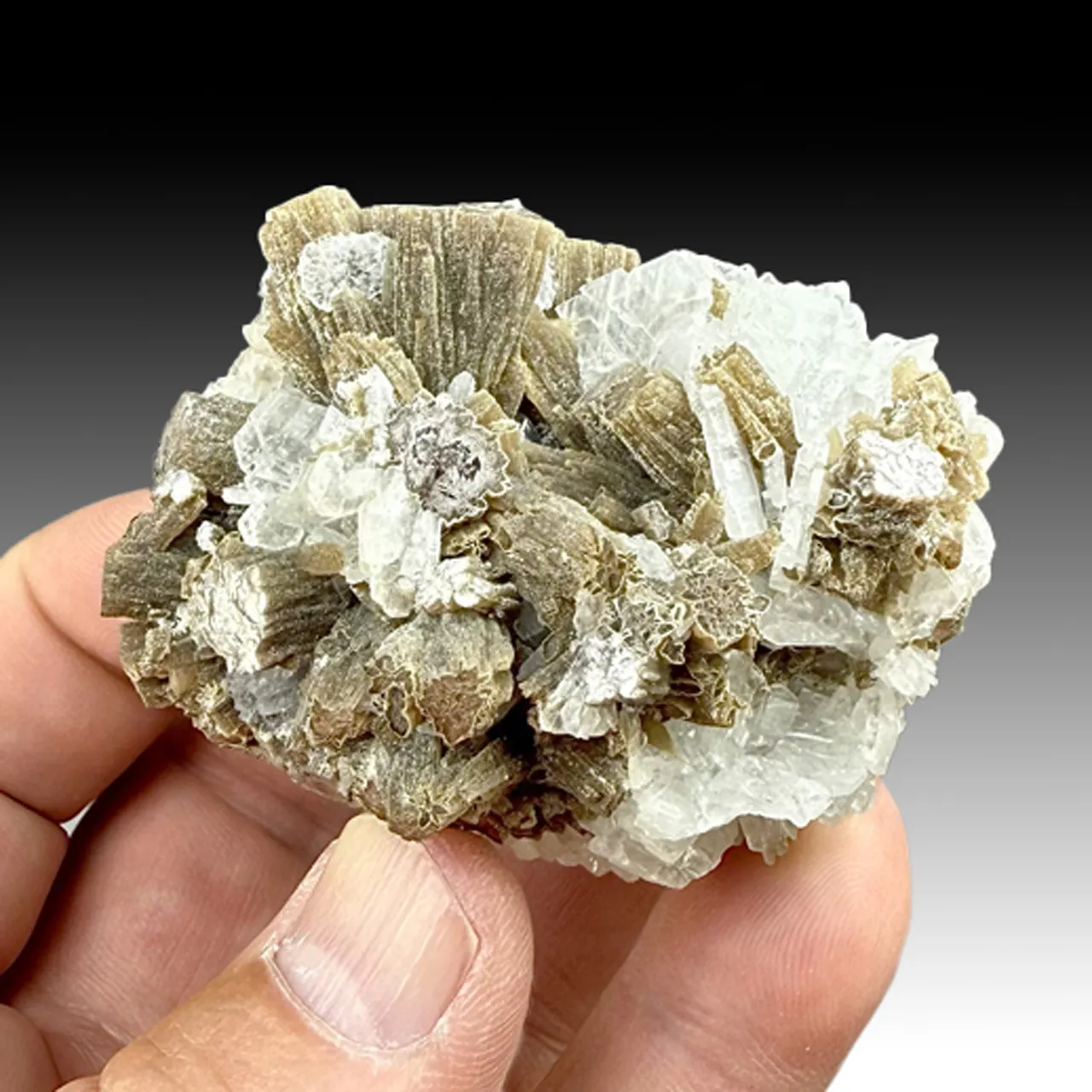 Lepidolite with Albite (1627) - image 1