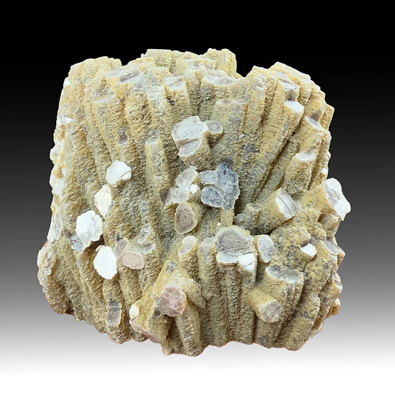 Lepidolite with Albite, Quartz (2823) - image 1