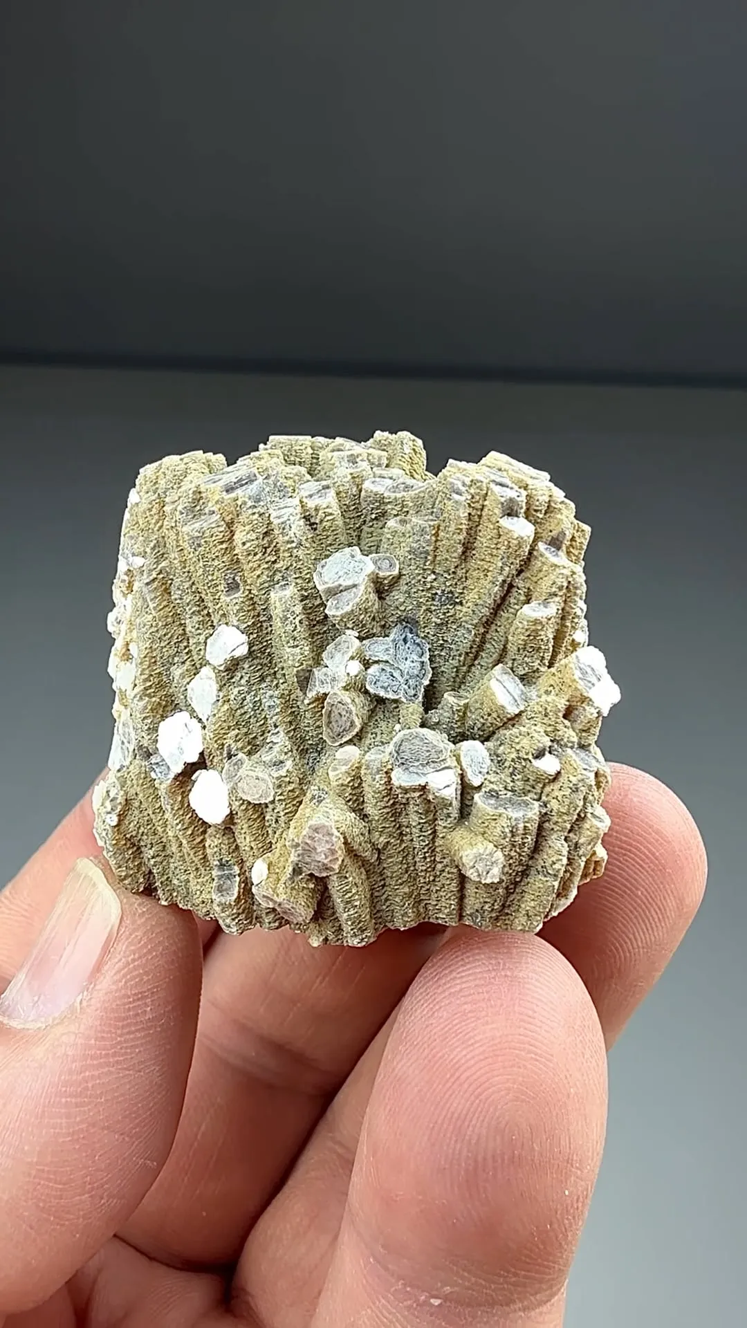 Lepidolite with Albite, Quartz (2823) - image 2