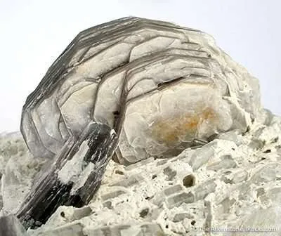 Lepidolite With Boromuscovite (Boron-Rich New Species) - image 3