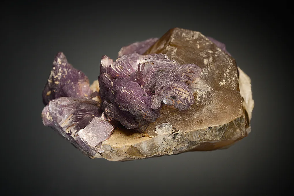 Lepidolite with Quartz on Albite var. Cleavelandite - image 4