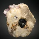Lepidolite with Quartz on Albite var. Cleavelandite - image 2