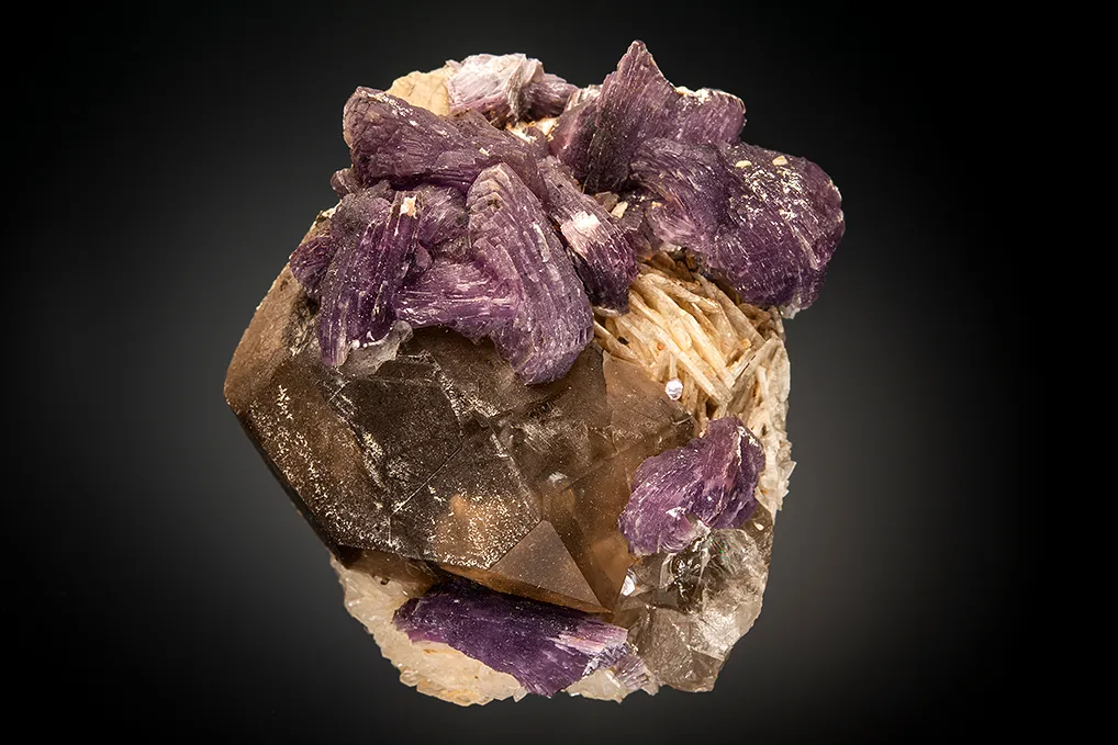 Lepidolite with Quartz on Albite var. Cleavelandite image