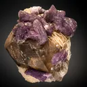 Lepidolite with Quartz on Albite var. Cleavelandite - image 1