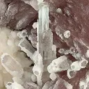 Lepidolite With Tourmaline on Albite - image 3