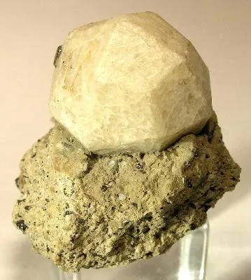 Leucite, Augite - image 1