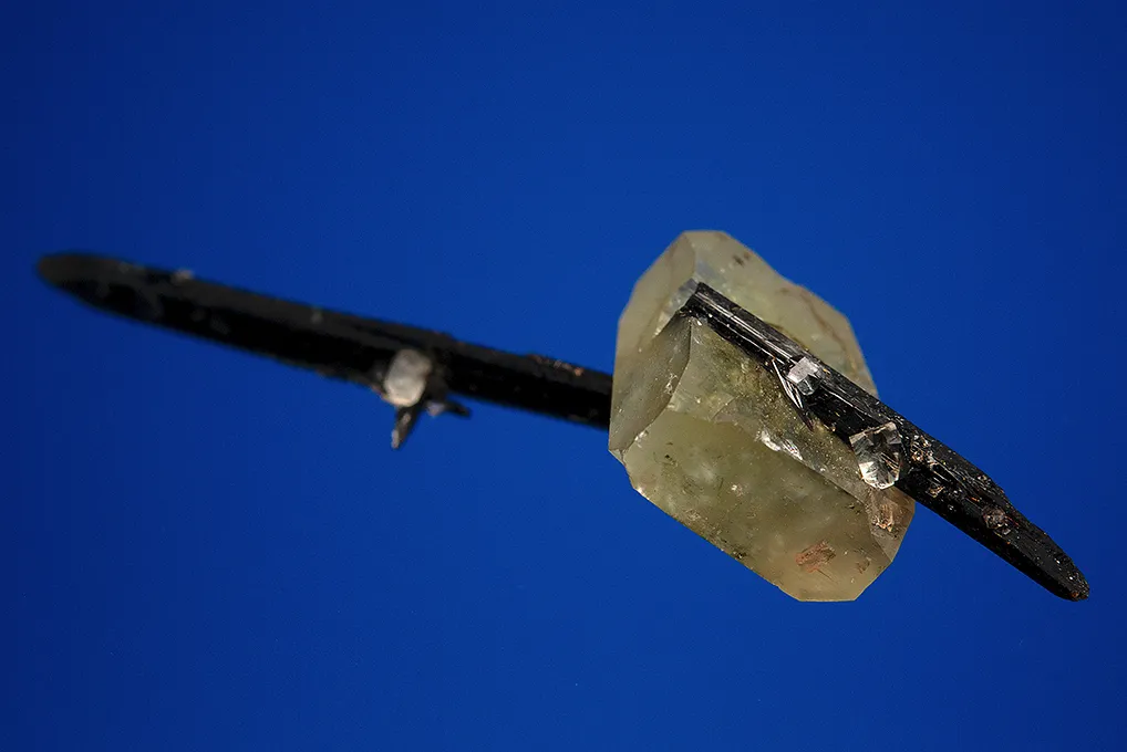 Leucophanite on Aegirine - image 2