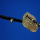 Leucophanite on Aegirine - image 2