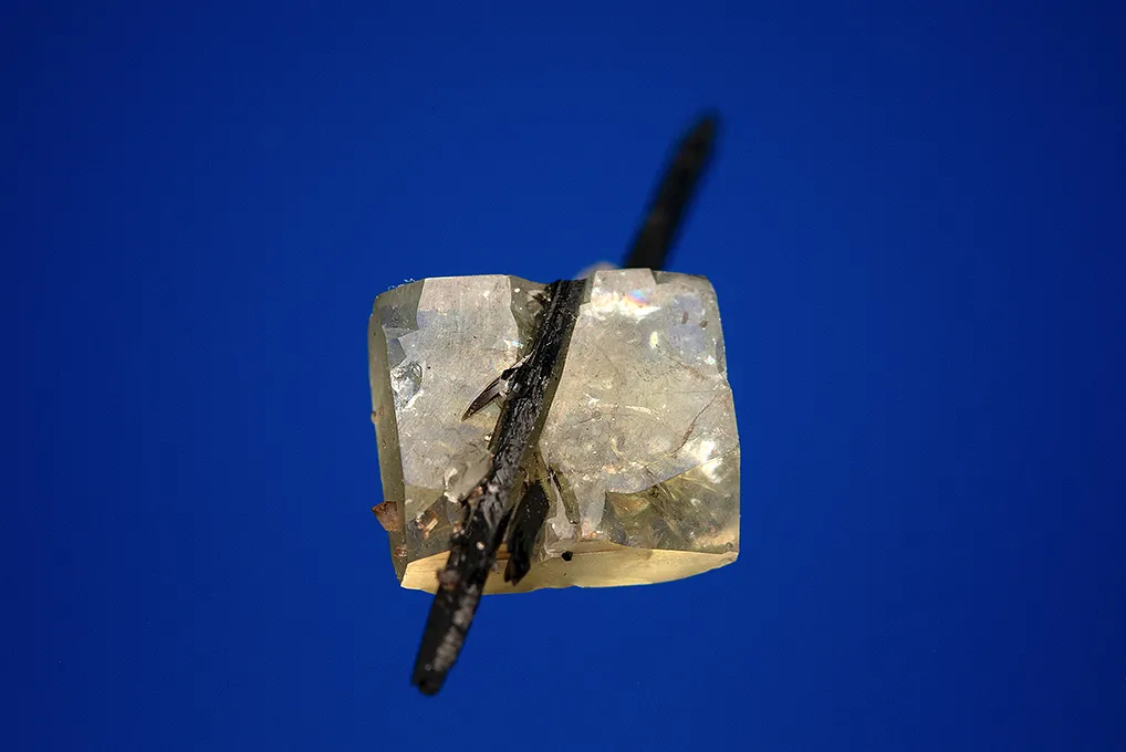 Leucophanite on Aegirine - image 3