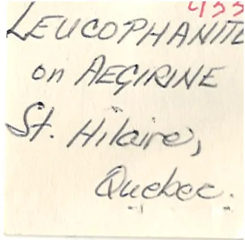 Leucophanite on Aegirine - image 5