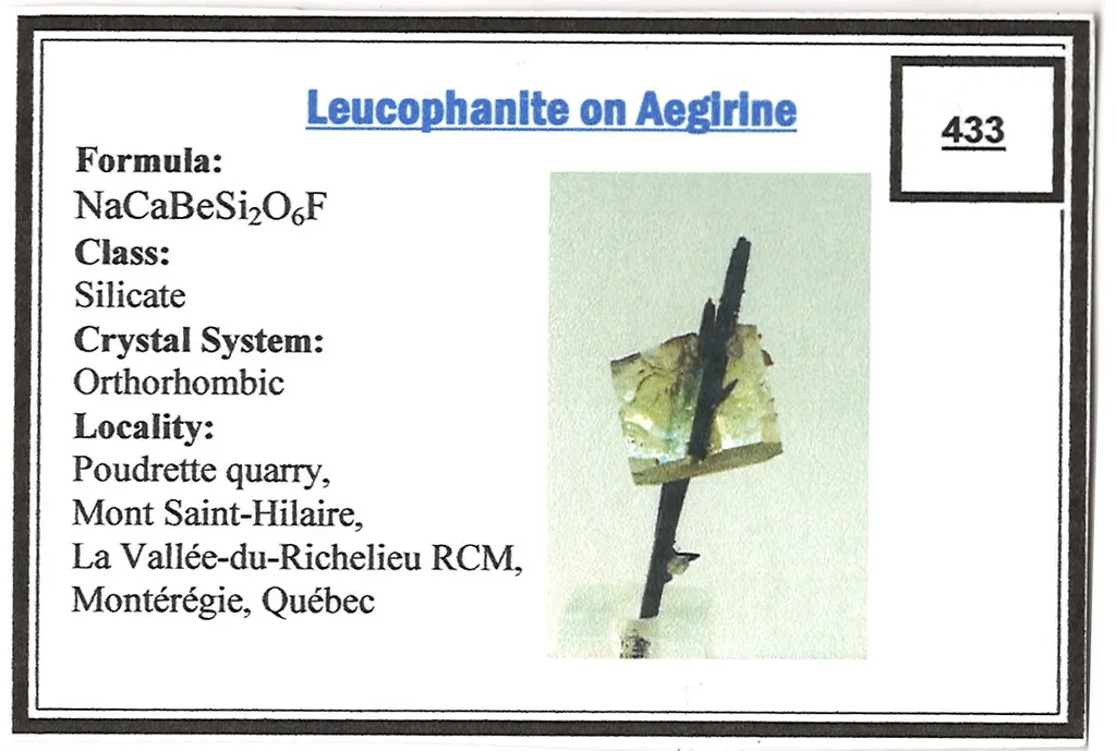 Leucophanite on Aegirine - image 4