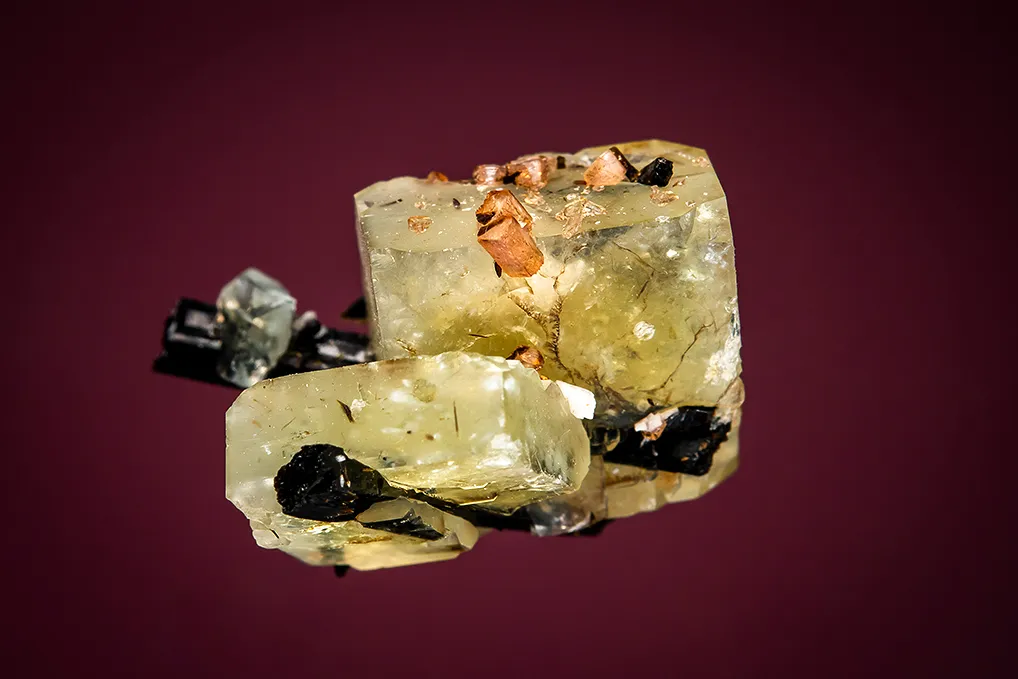 Leucophanite with Aegirine and Serandite image