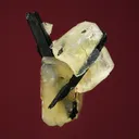 Leucophanite with Aegirine and Serandite - image 3