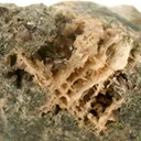Leucophosphite and Hureaulite - image 3