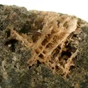 Leucophosphite and Hureaulite - image 2