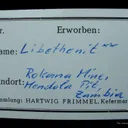 Libethenite - image 5