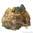 Libethenite ex. Roebling Coll. - image 2